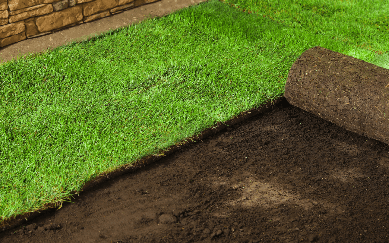Sod Installation Services in Middleton, WI