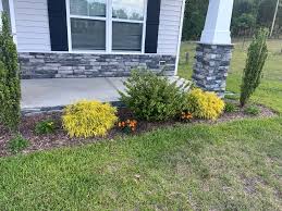 Tree & Shrub Planting project 5